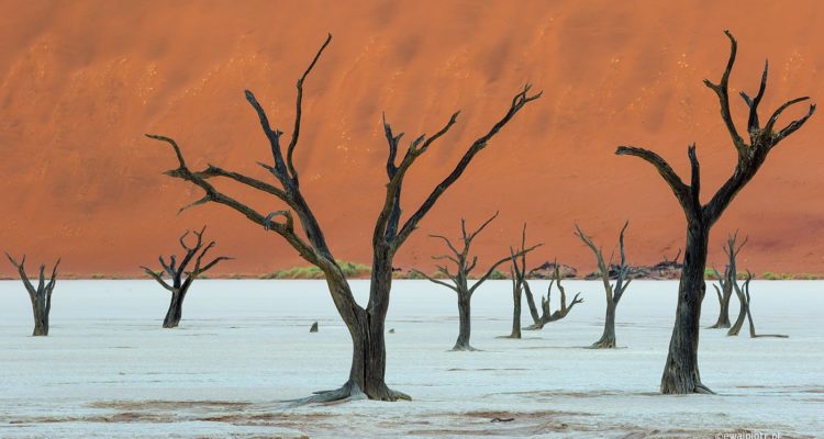 Fotowyprawa do Namibii - ewaipiotr.pl, dead vlei, martwy las
